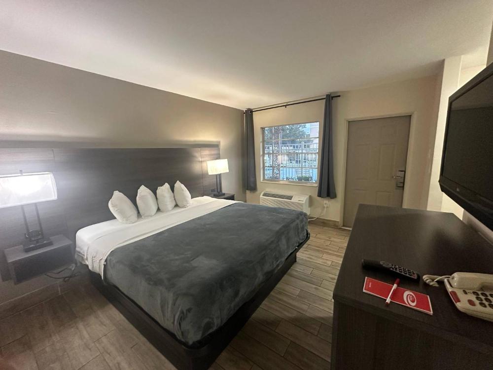 Econo Lodge St Petersburg Central